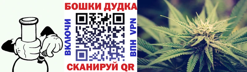 купить наркоту  Камышин  Каннабис Bruce Banner 